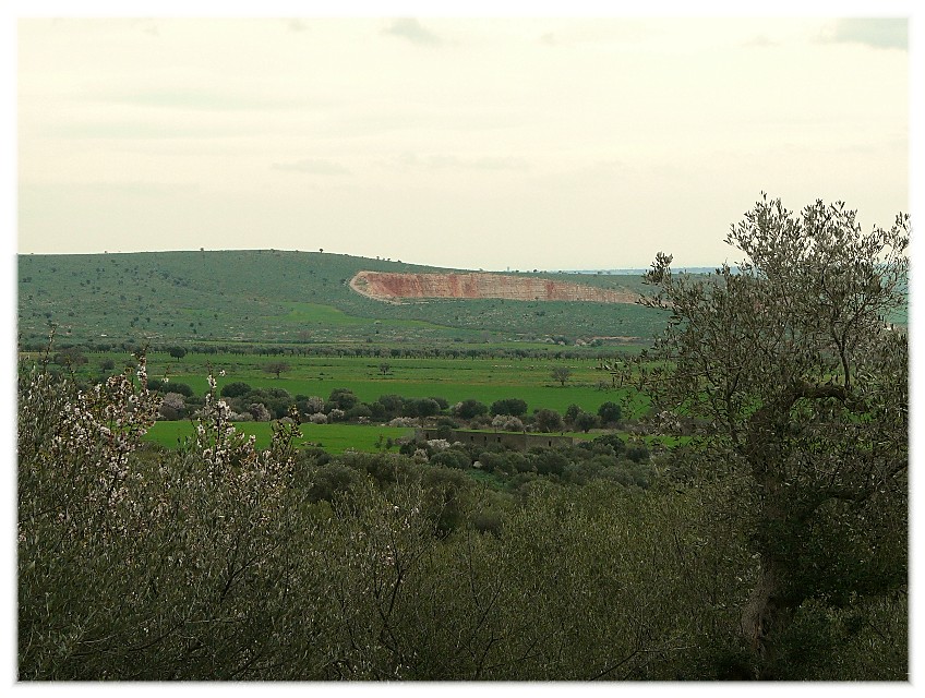 Le Steppe del Gargano